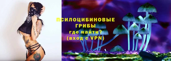 соль ск Дмитров