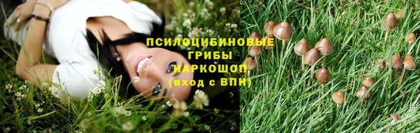 соль ск Дмитров